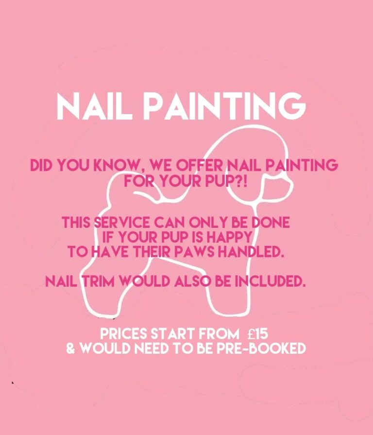 305698634 664452048349912 6716020168893966403 n 768x895