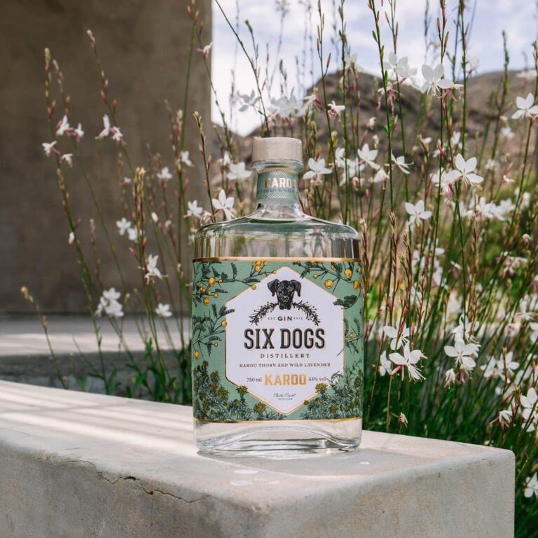 318950303 5563612057089811 5245526110722746840 n 768x768