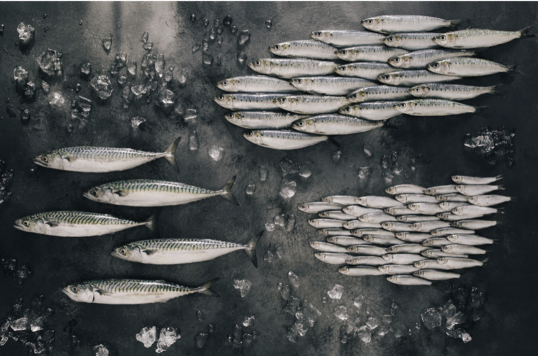 Screenshot 2023 02 22 at 09.44.22 768x509