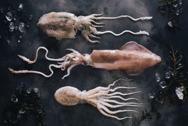 Screenshot 2023 02 22 at 09.44.47 768x518