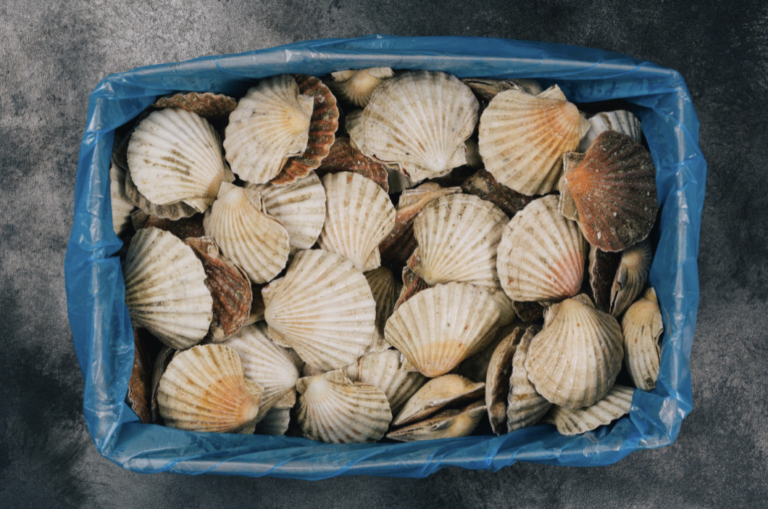 Screenshot 2023 02 22 at 09.46.16 768x509